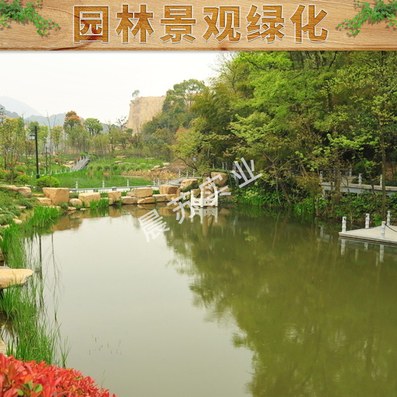 上海市园林景观绿化厂家园林景观绿化道路绿化小区绿化养护价格实惠绿植花卉租赁园林景观绿化公司