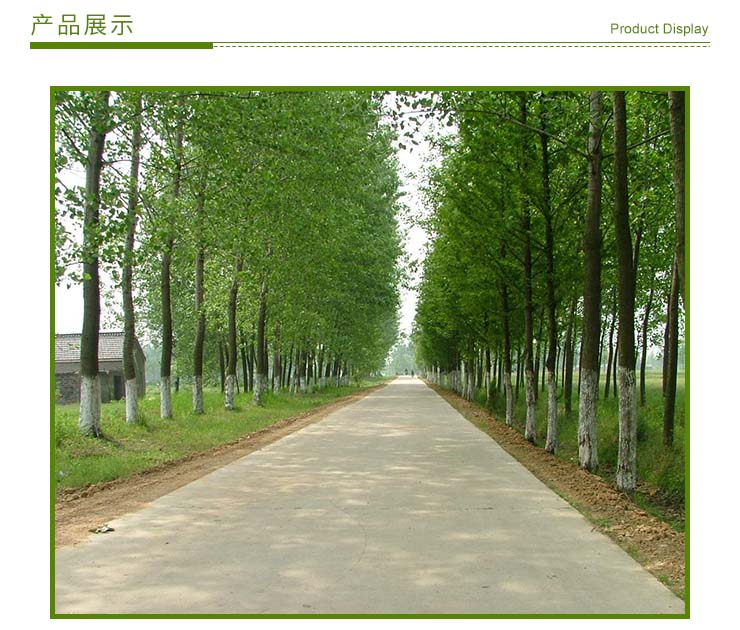 普陀区绿化养护工程施工电话，普陀区园林绿化工程施工，上海园林绿化工程施工