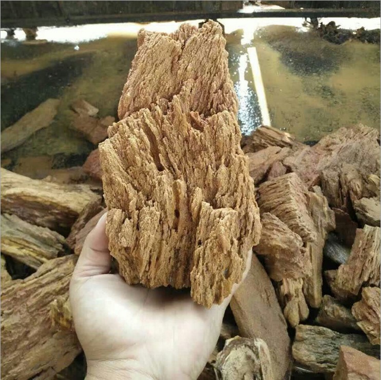 山东滨州木化石联系方式 缅甸木化石水族箱鱼缸造景批发价格