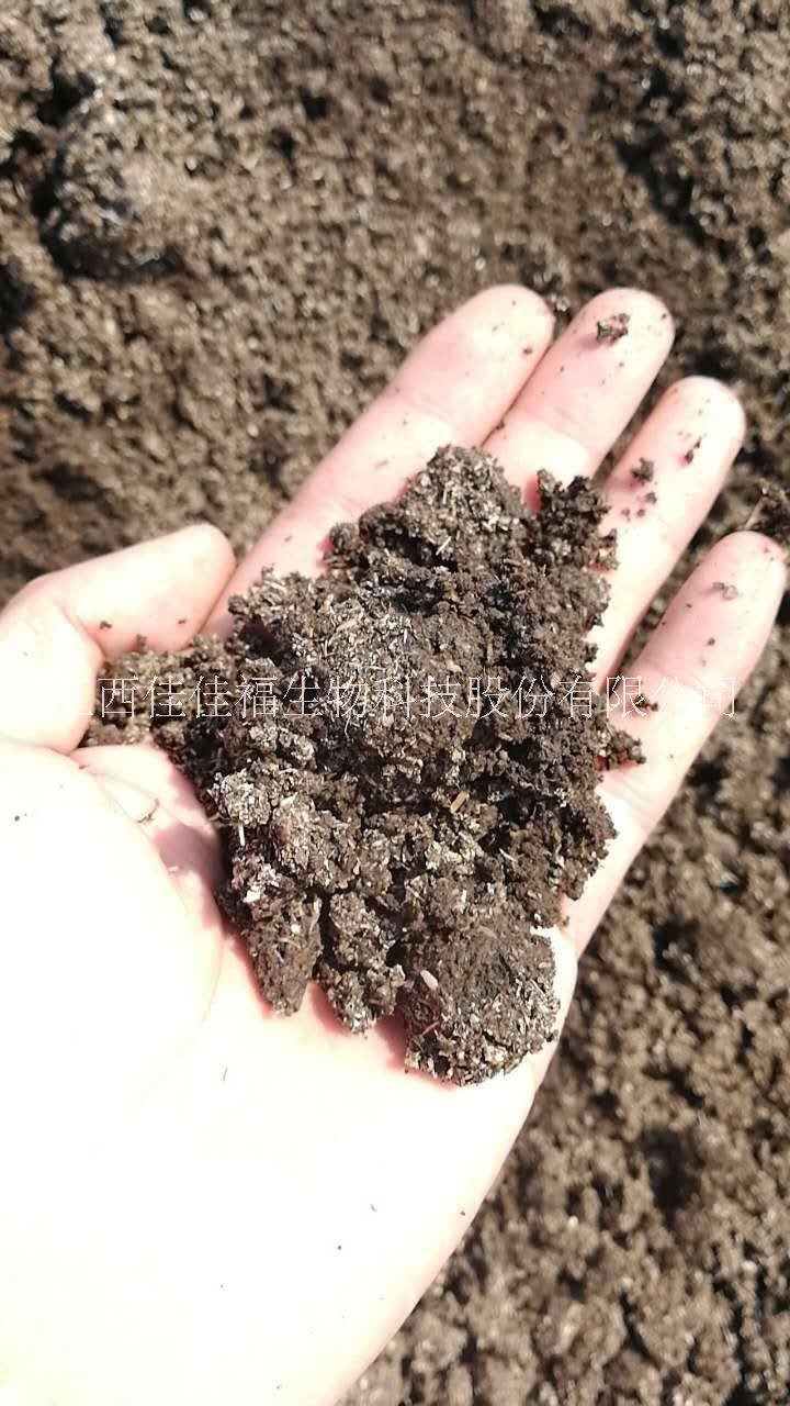 木薯渣有机肥原料