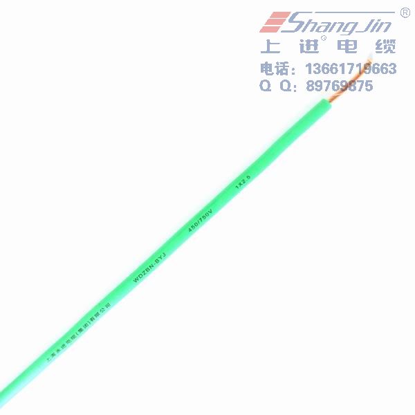 上海永进电缆供应高寿命电线WDZ-GYJS(F) ZR-IC-GYJS(F)-105图片