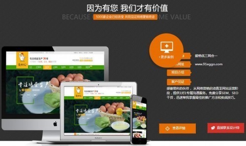 郑州做一个营销型网站要多少钱？ 郑州营销型网站有哪些好处