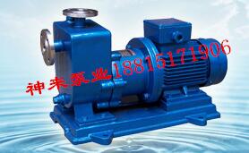 ZCQ50-40-160不锈钢自吸磁力泵，陕西西安磁力泵，延安磁力泵