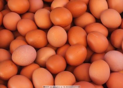 青海红皮鲜鸡蛋批发商@青海鸡蛋配送中心@青海红皮鸡蛋配送中心