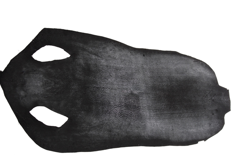 珍珠鱼皮图片