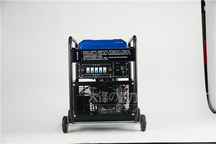 TO250A-柴油发电电焊机图片