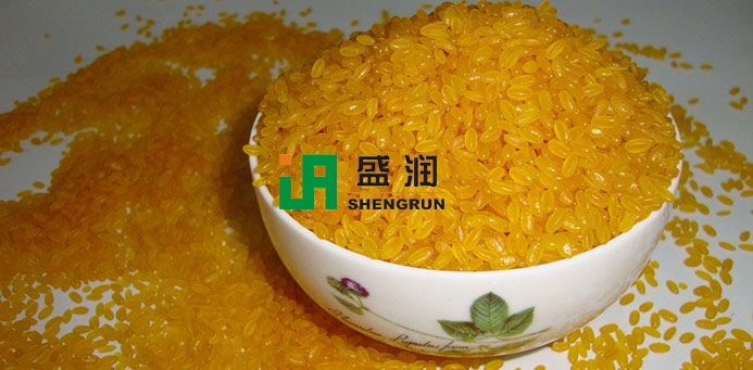 济南盛润营养米生产线 济南盛润营养米生产线TSE70