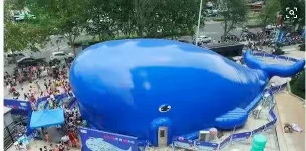 鲸鱼气模海洋球鲸鱼岛出租租赁出售