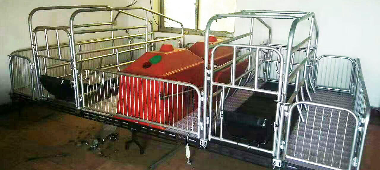 母猪产床 母猪用产床哪里生产 利祥农牧养猪设备