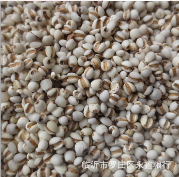 贵州薏米批发薏仁米五谷杂粮长期供应贵州薏米薏米厂家直销