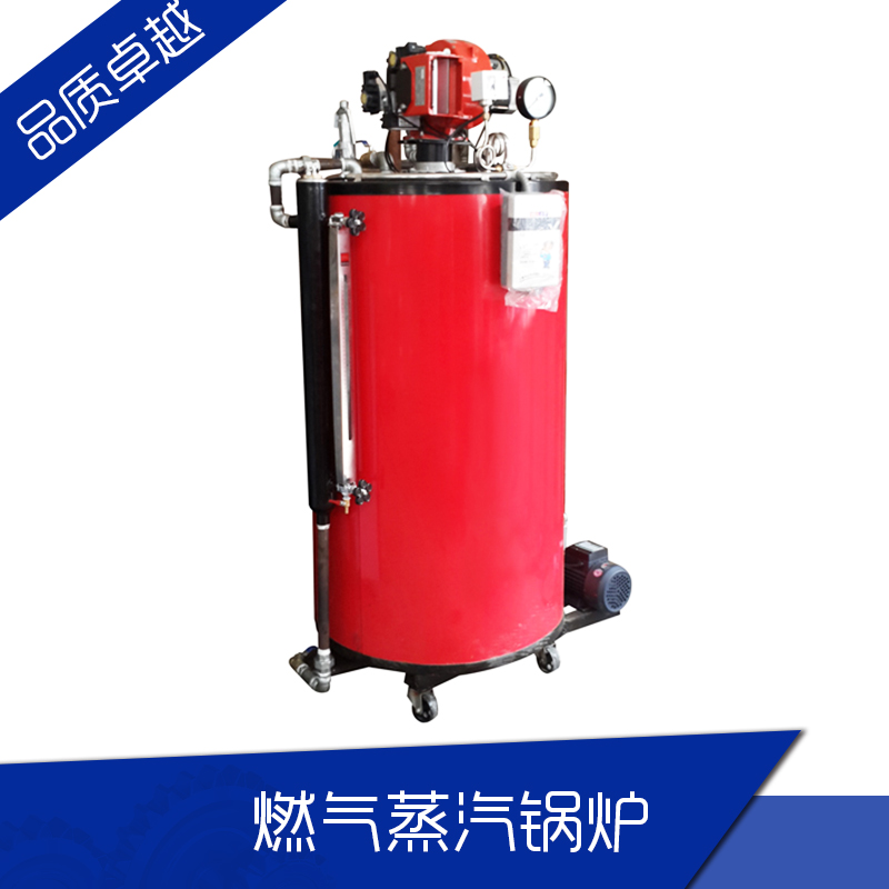 上海华征特种锅炉燃气蒸汽锅炉化学设备配套全自动立式锅炉厂家直销图片