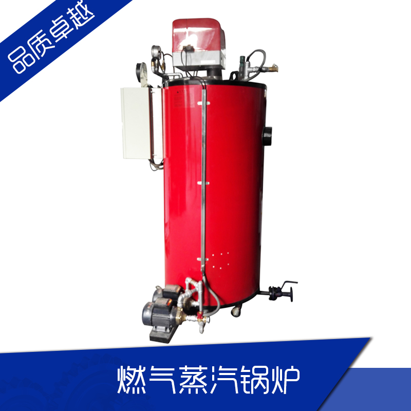 上海华征特种锅炉燃气蒸汽锅炉化学设备配套全自动立式锅炉厂家直销