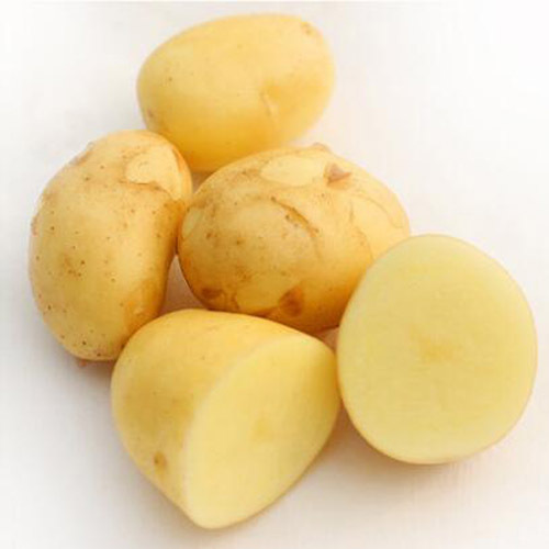 土豆新鲜马铃薯洋芋炖汤炕洋芋沂蒙山农家自种
