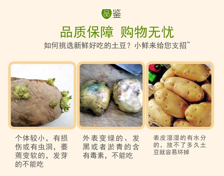 山区优质土豆3斤蔬菜美味农家土豆