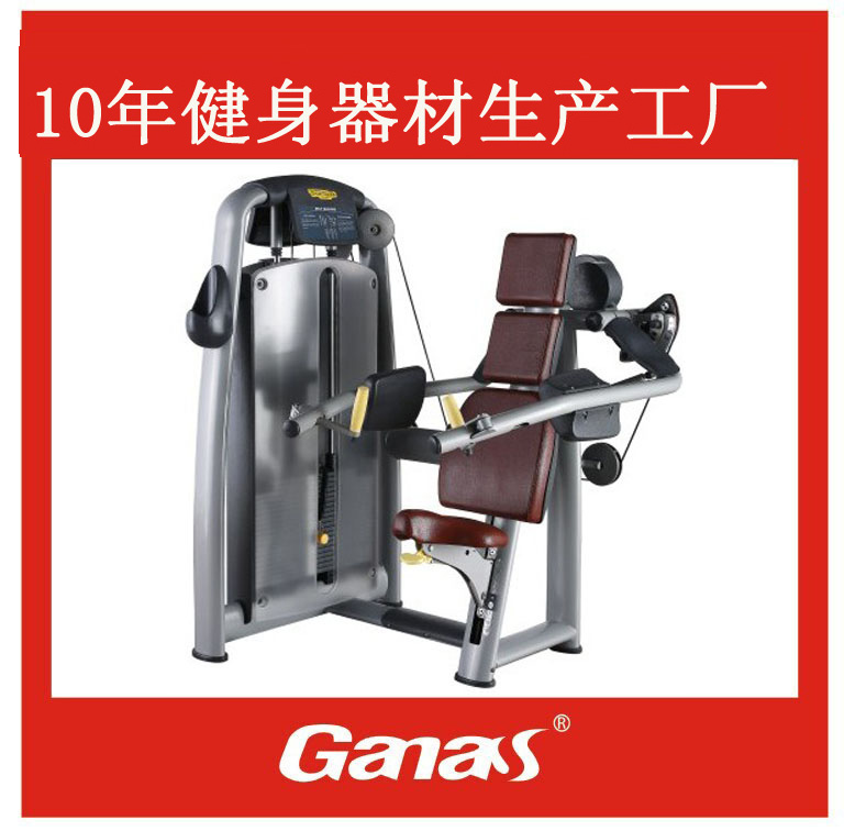 广西健身器材厂家批发G-615高拉力背肌练习器健身器材工厂价图片