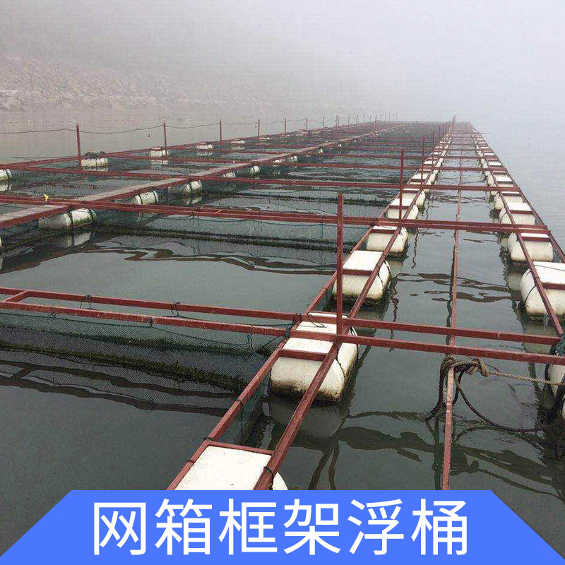 厂家专业生产 浮筒码头  网箱框架浮桶 质量放心保证 价格优异 欢迎订购图片