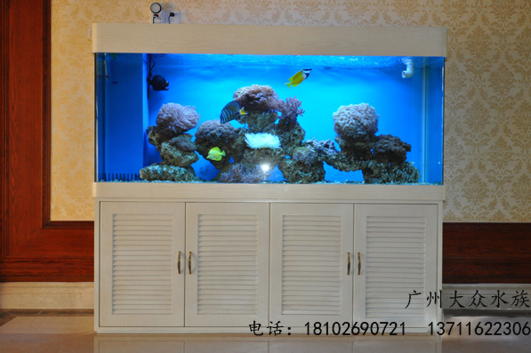 广州大商场海鲜鱼池,广州海鲜设计