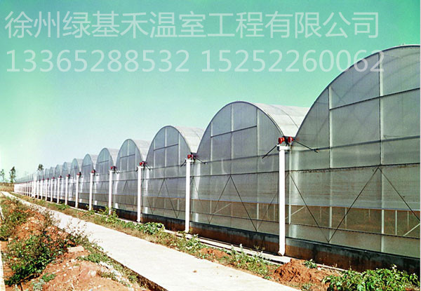 温室大棚厂家温室大棚安装蔬菜大棚日光温室连栋温室图片
