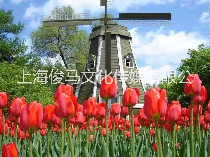 上海市荷兰风车展览租赁 大型风车节布置厂家