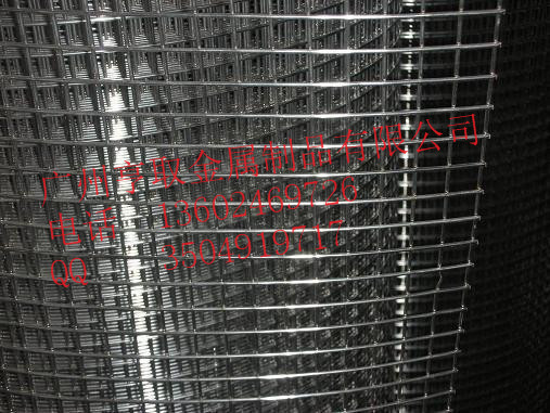电焊网，外墙保温铁丝网广州厂家直供 电焊网，外墙保温铁丝网，工地防裂网，抹墙铁丝网 热镀锌电焊网