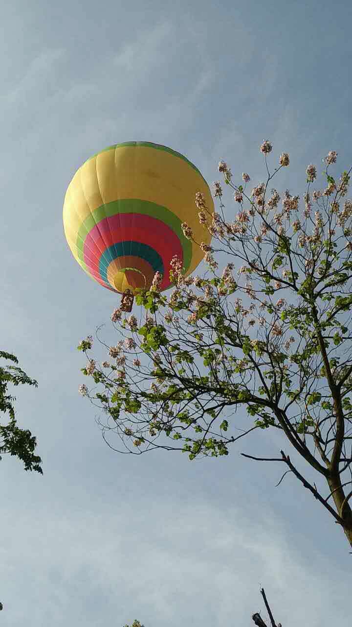 热气球自由飞行