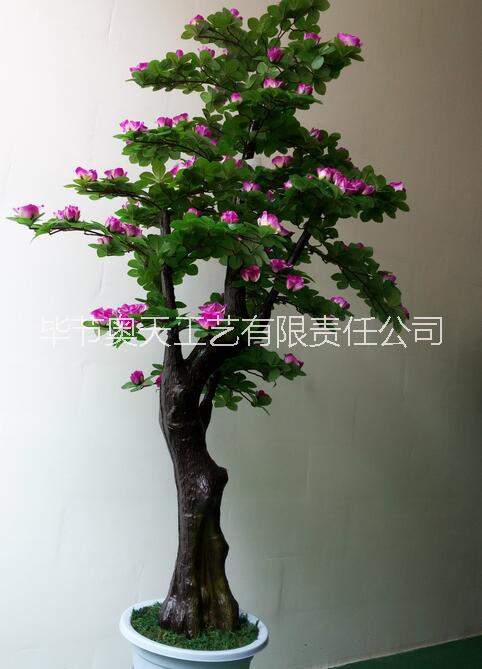 吉利树带花绿植盆景系列装饰 植物叶片厂家直销仿真绿植图片