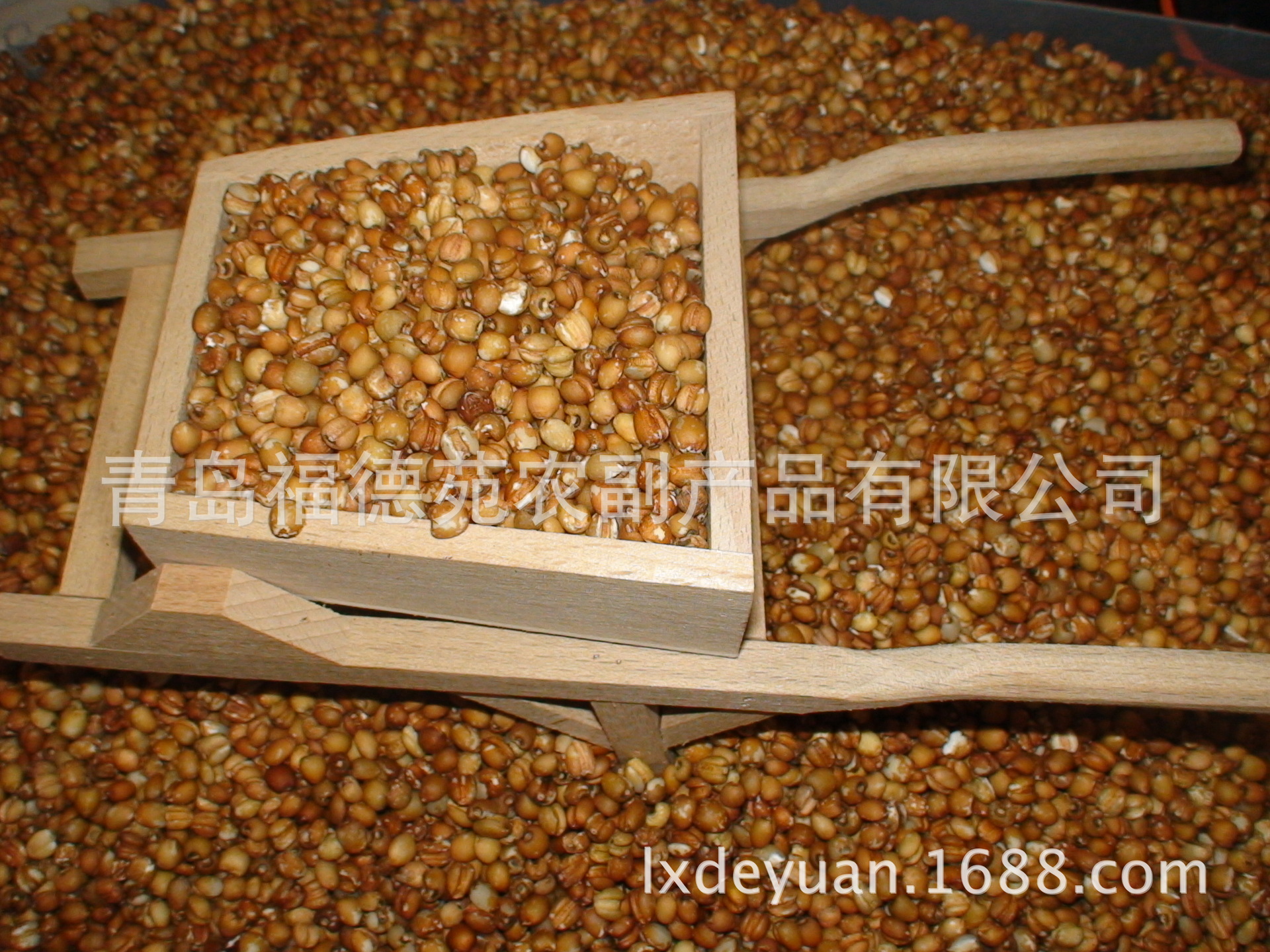 厂家产地直销山东小粒薏米，红薏米