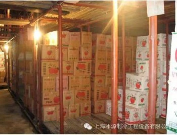 天津市苹果保鲜库厂家建设图片