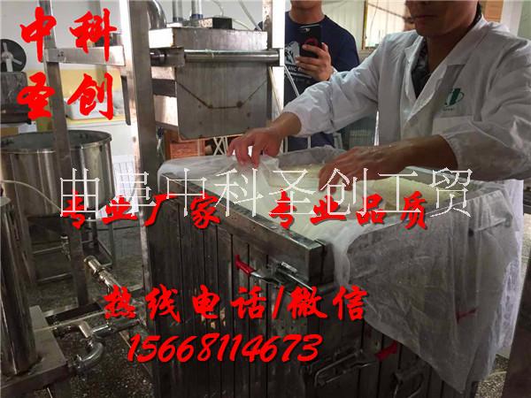自动豆腐干机器加工豆腐干的设备豆腐干机厂家图片