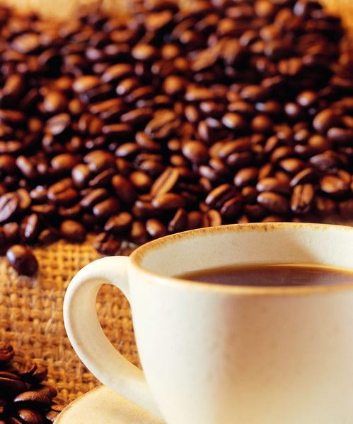 供应奶茶咖啡用植脂末F20D 供应奶茶咖啡用植脂末F20D图片
