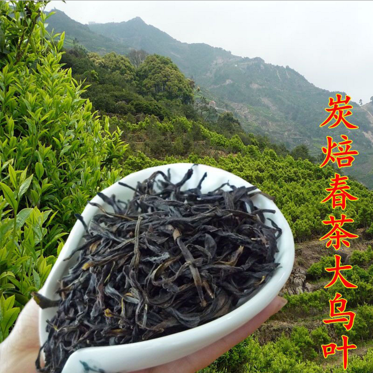 乌龙茶凤凰单丛茶单从茶叶乌岽潮州批发