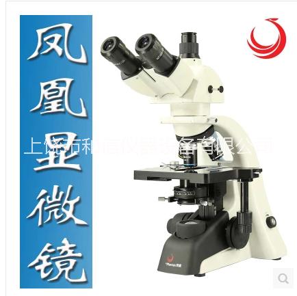 江西凤凰生物显微镜PH100-2B41L-IPL双目光学放大1600倍厂家直销图片
