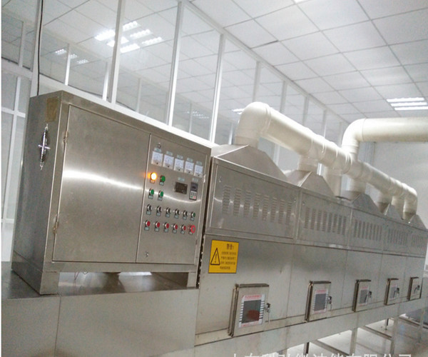 国内规模微波蚕豆低温烘焙设备制造