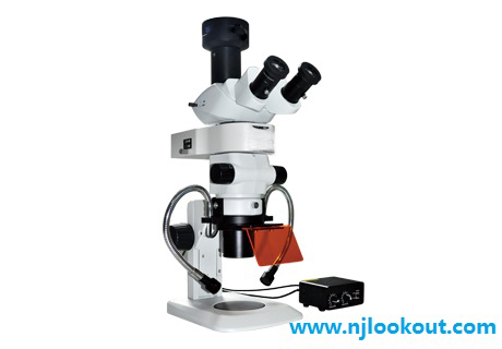 江苏荧光显微镜 荧光显微镜厂家 荧光显微镜的行业优选图片