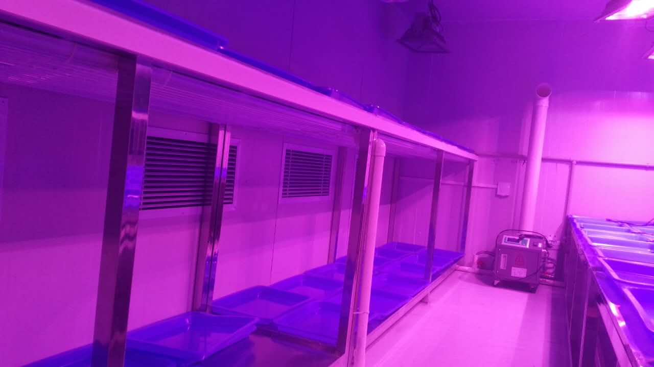 人工智能气候室 顶光型植物生长室 武汉叶动力气候室项目建设