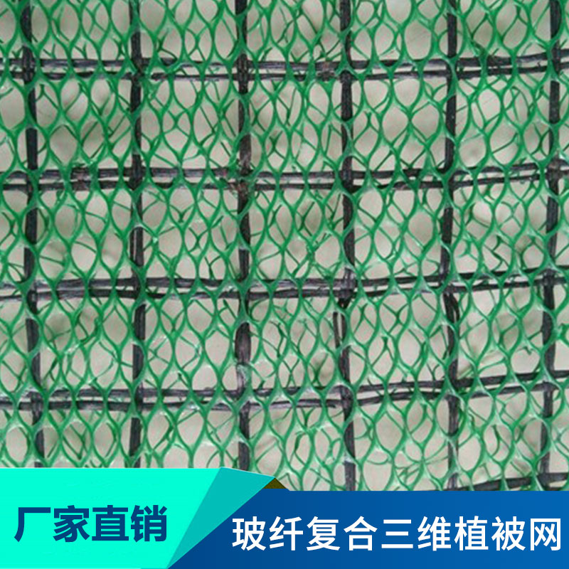 玻纤复合三维植被网布新型高强抗拉玻纤格栅复合三维植被网护坡图片