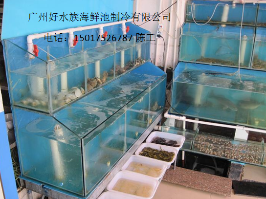 广州海鲜鱼池定制海鲜池设备制冷安装专业定做海鲜池