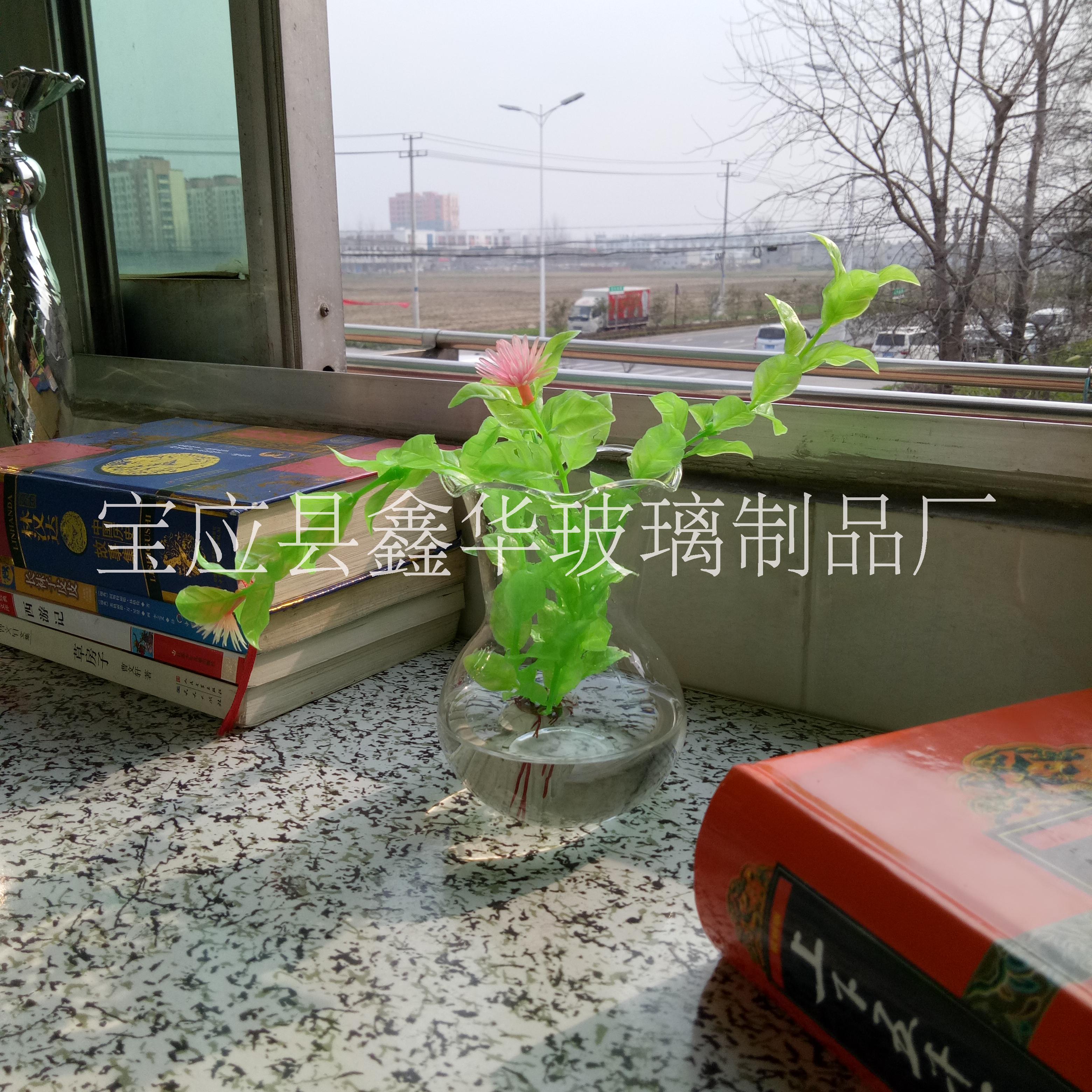 水培花瓶厂家批发 蛋形创意悬挂式微景观，dj吊瓶多肉植物花瓶