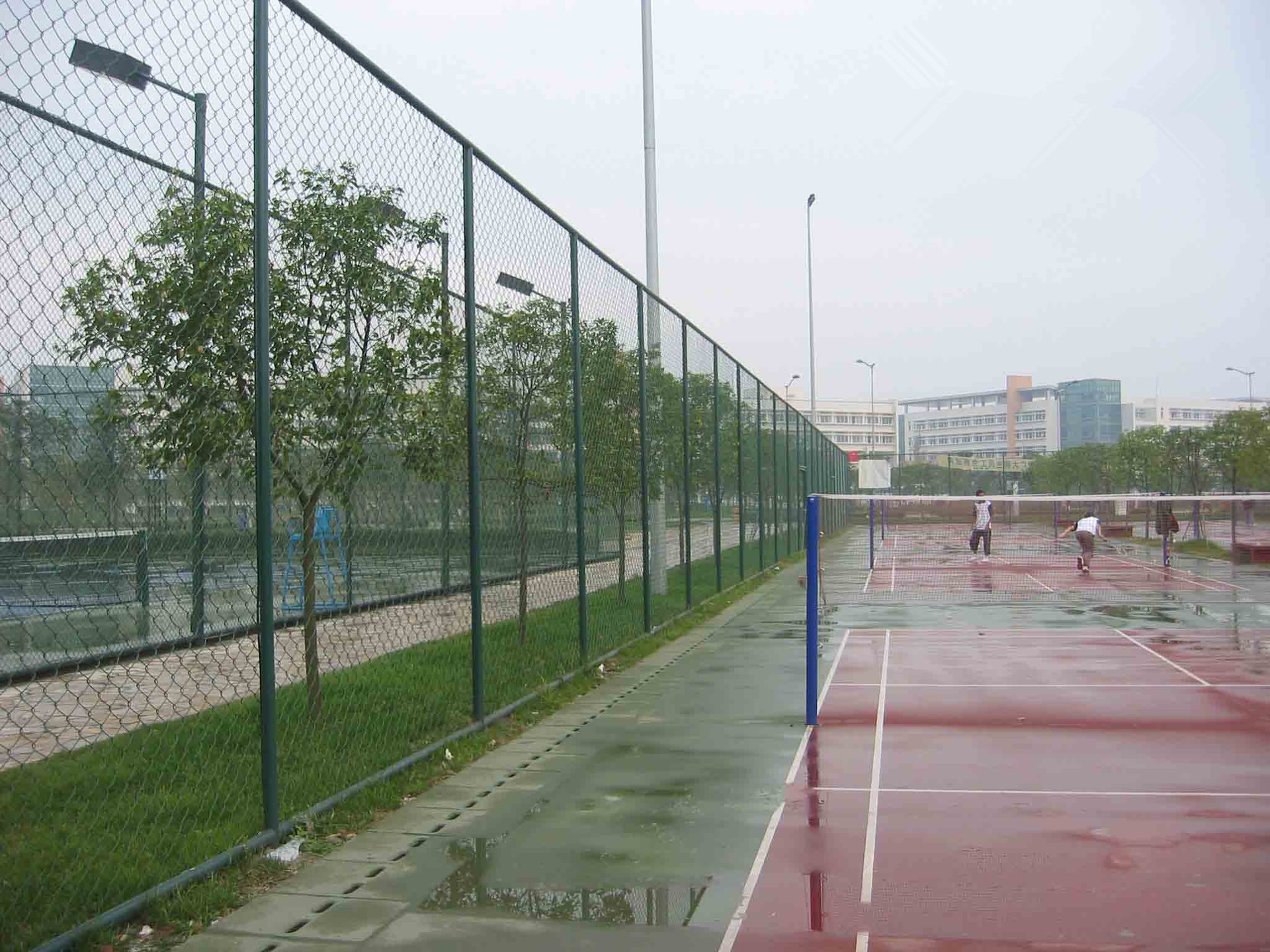 厂家供应球场围护网 小区学校隔离网 养殖场防护网 球场围网