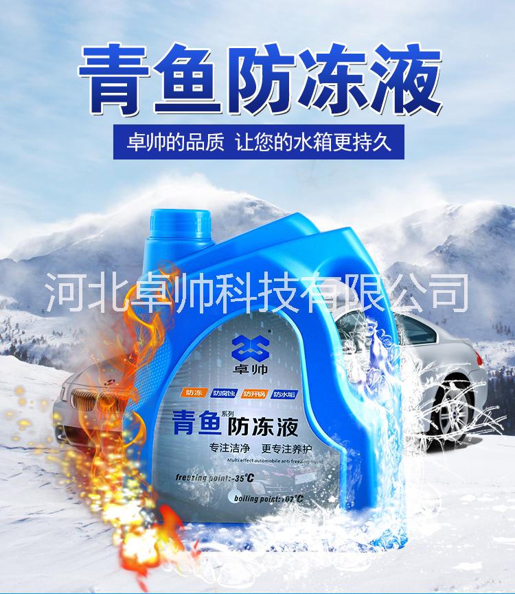 青鱼 防冻液冷却液汽车清洁用品 更多汽车养护品火爆招商中