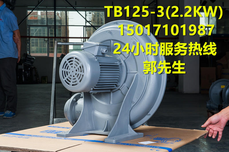 TB125-3欧冠鼓风机 耐高温风机 透浦式风机 高压鼓风机