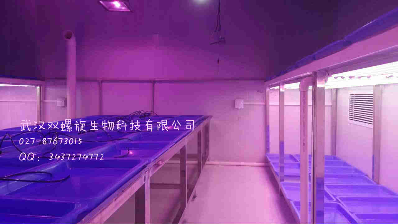 人工智能气候室 顶光型植物生长室 武汉叶动力气候室项目建设