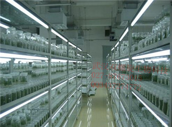 武汉叶动力组培室定制实验室专用  武汉组培室植物组织培养室建设