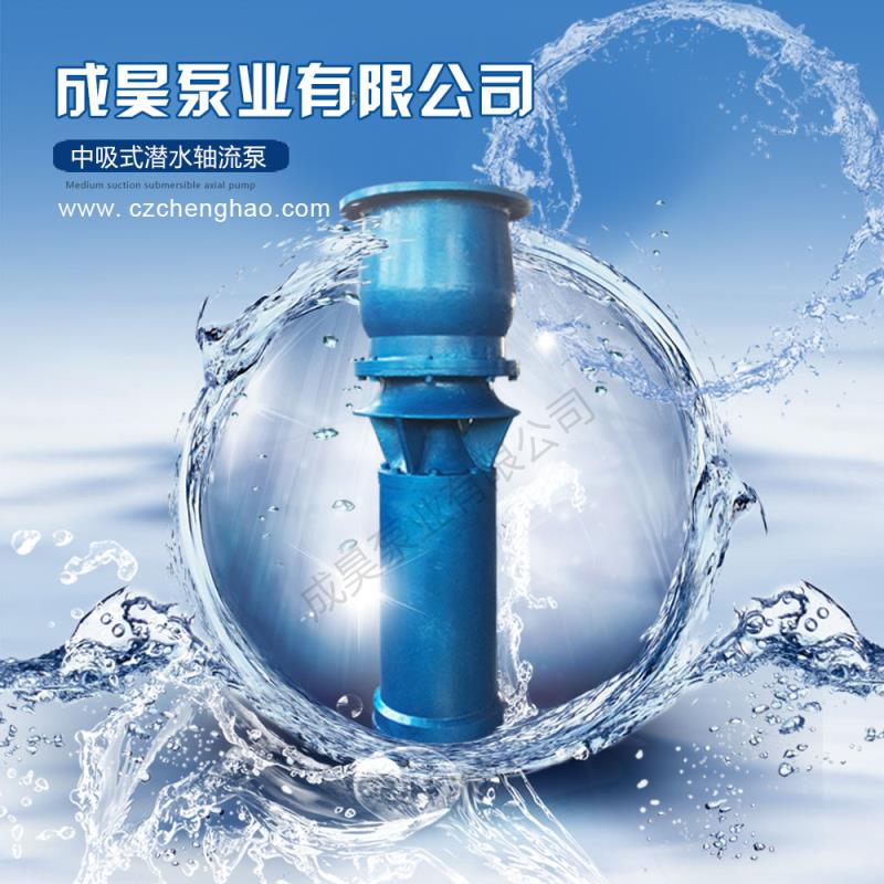 中吸式潜水轴流泵 天津中吸式潜水轴流泵简易型潜水轴流泵 潜水轴