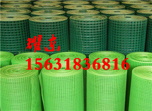 电焊网片生产厂家/ 电焊网铁丝网