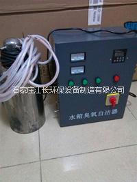 水箱（价格）自洁消毒器 WTS-2A 水箱自洁（价格）消毒器ZM-1的详细描述: 水箱（价格）自洁消毒器 WTS-