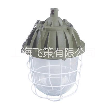 上海飞策防爆 BCD56系列隔爆型防爆灯