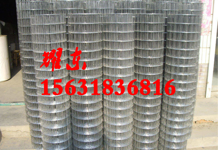 耀东供应不锈钢电焊网 浸塑电焊网 电焊网生产厂家 镀锌电焊网