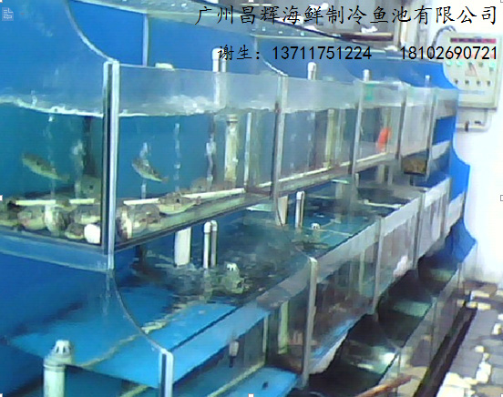 广州从化定制超市海鲜鱼池