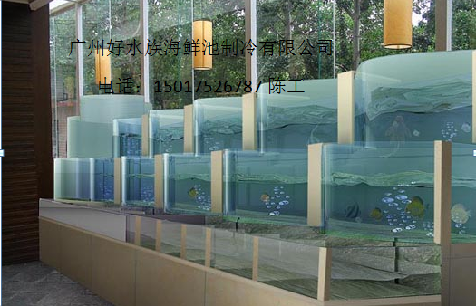 定制海鲜池|广州海鲜池制冷公司